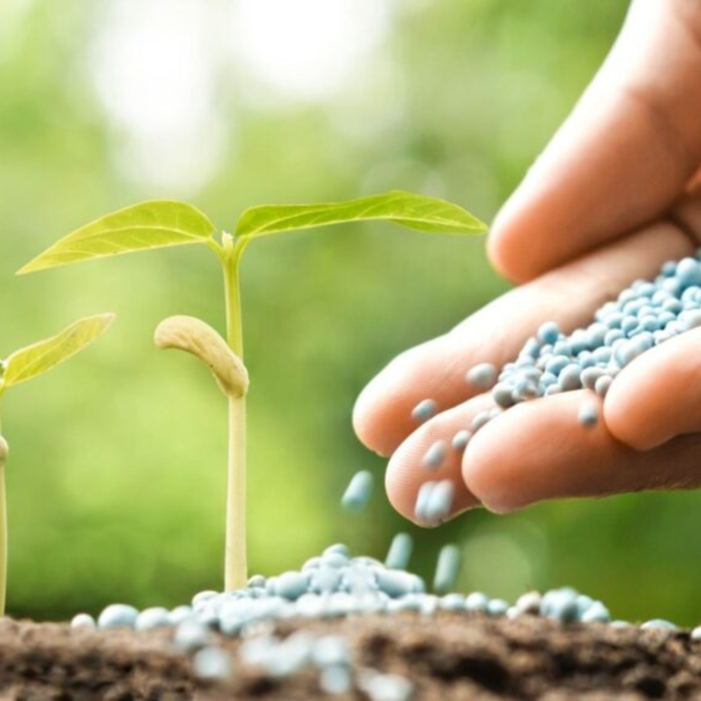 INSUMOS AGRÍCOLAS